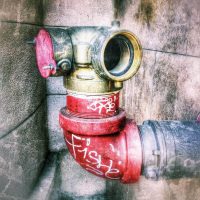 Pipeline Pipeline ALT